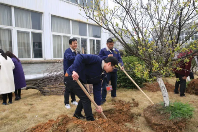 圖片關鍵詞